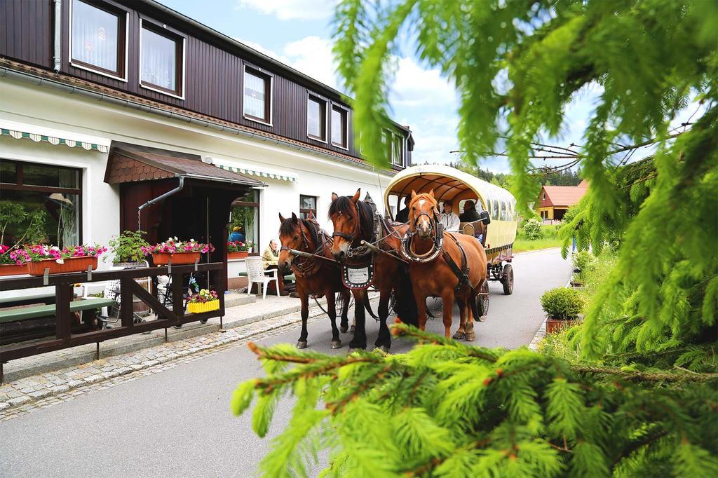 Gaststaette & Pension Waldquell Antonshohe Buitenkant foto